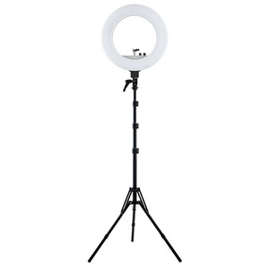 svetodiodnaya kolcevaya lampa pro light serebryanaya 1 sht n a kitaj
