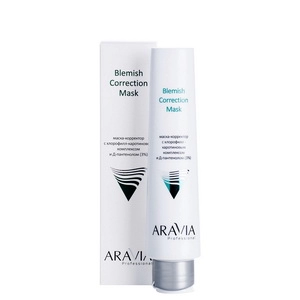 maska korrektor dlya zhirnoj i problemnoj kozhi protiv nesovershenstv blemish correction mask 100 ml aravia professional rossiya