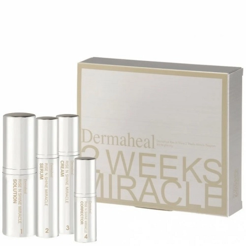 dermaheal 2 wm risenshine anti pigmentation program dermaheal