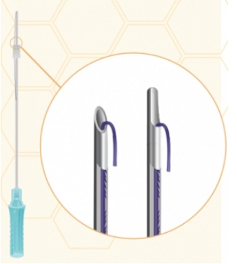 cog 1r 19g x 100 l cannula 4 sht upk