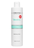 stabiliziruyushchij tonik dlya suhoj i chuvstvitelnoj kozhi 300 ml christina izrail