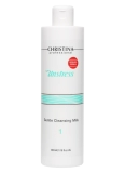 nezhnoe ochishchayushchee molochko prof 300 ml christina izrail