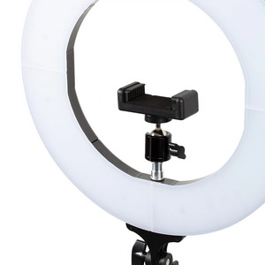 lampa kolcevaya svetodiodnaya 12quot belaya 1 sht lucas cosmetics rossiya